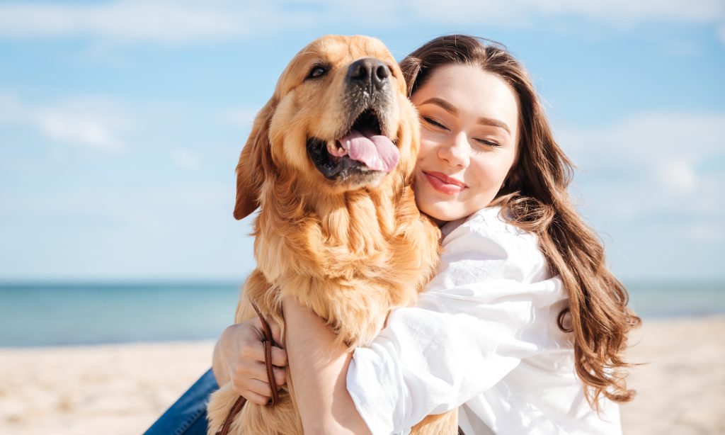 Dogs-understand-humans-better-than-we-understand-them