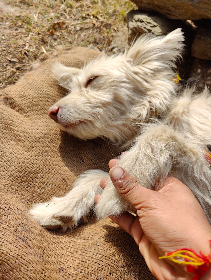 social-feed-img-02